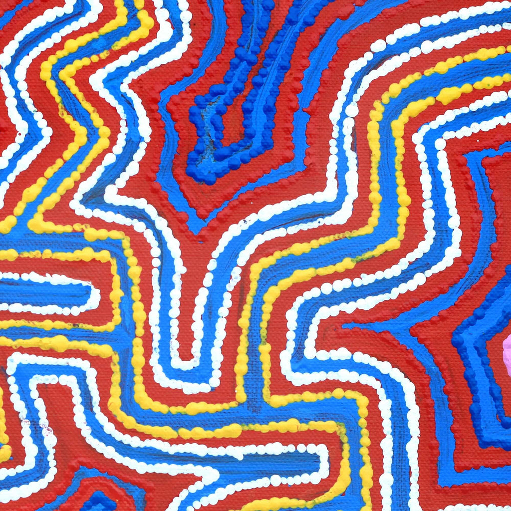 Aboriginal Artwork by Agne Nampijinpa Fry, Watiya-warnu Jukurrpa (Seed Dreaming), 30.5x30.5cm