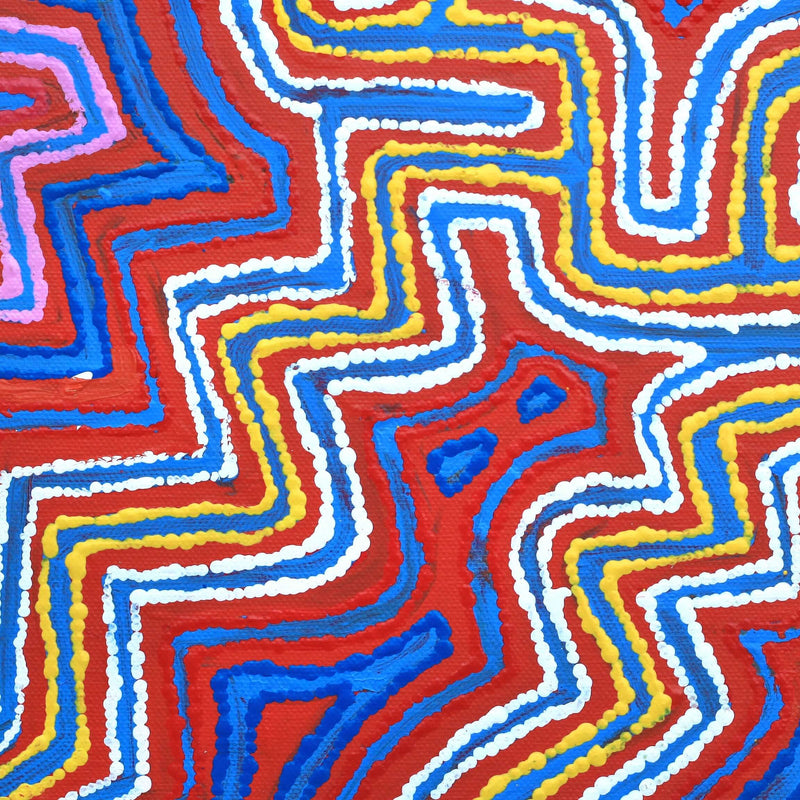 Aboriginal Artwork by Agne Nampijinpa Fry, Watiya-warnu Jukurrpa (Seed Dreaming), 30.5x30.5cm