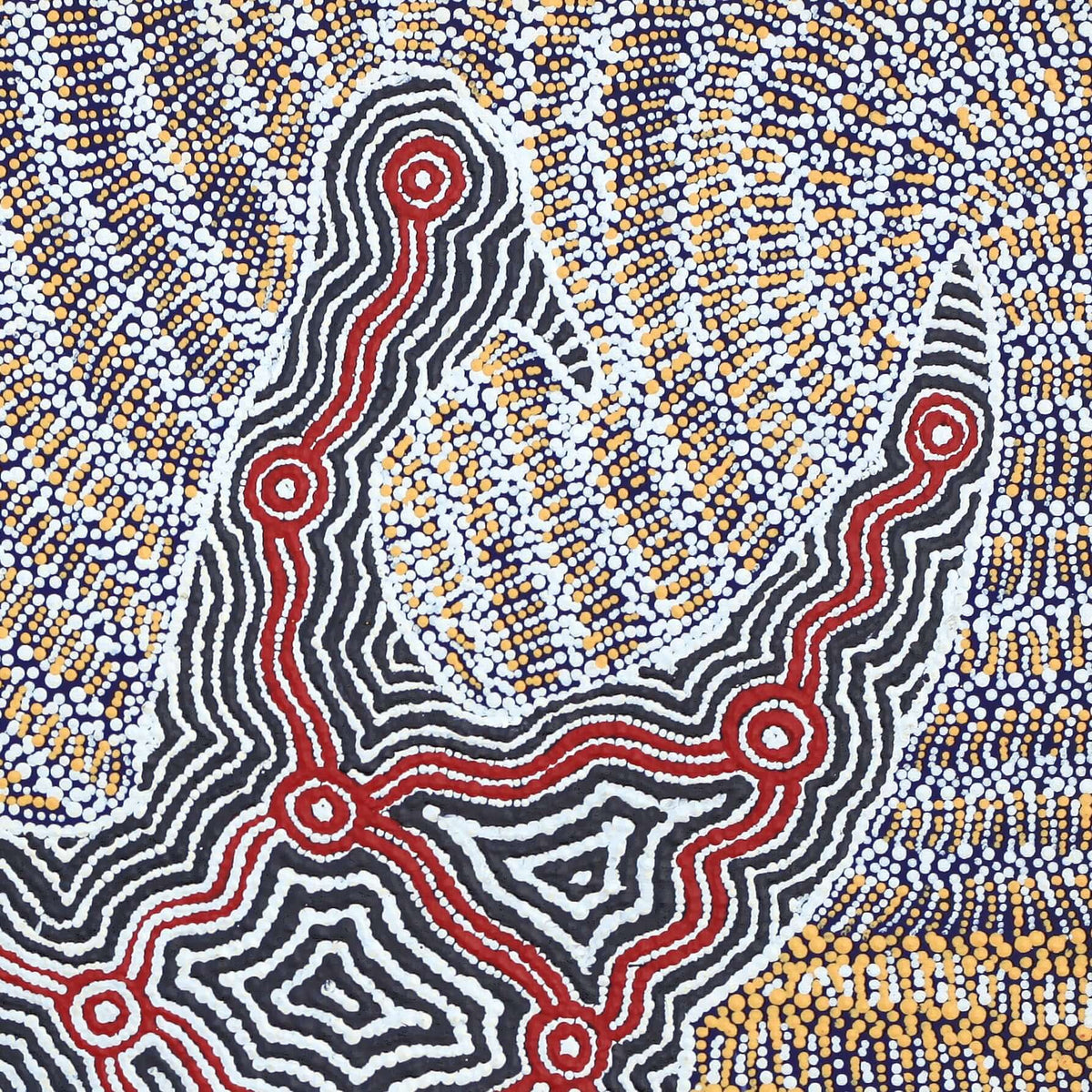 Aboriginal Artwork by Agnes Nampijinpa Fry, Jurlpu kuja kalu nyinami Yurntumu-wana (Birds that live around Yuendumu), 61x61cm