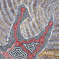 Aboriginal Artwork by Agnes Nampijinpa Fry, Jurlpu kuja kalu nyinami Yurntumu-wana (Birds that live around Yuendumu), 61x61cm