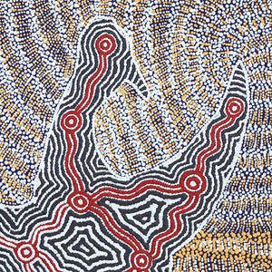 Aboriginal Artwork by Agnes Nampijinpa Fry, Jurlpu kuja kalu nyinami Yurntumu-wana (Birds that live around Yuendumu), 61x61cm - ART ARK®