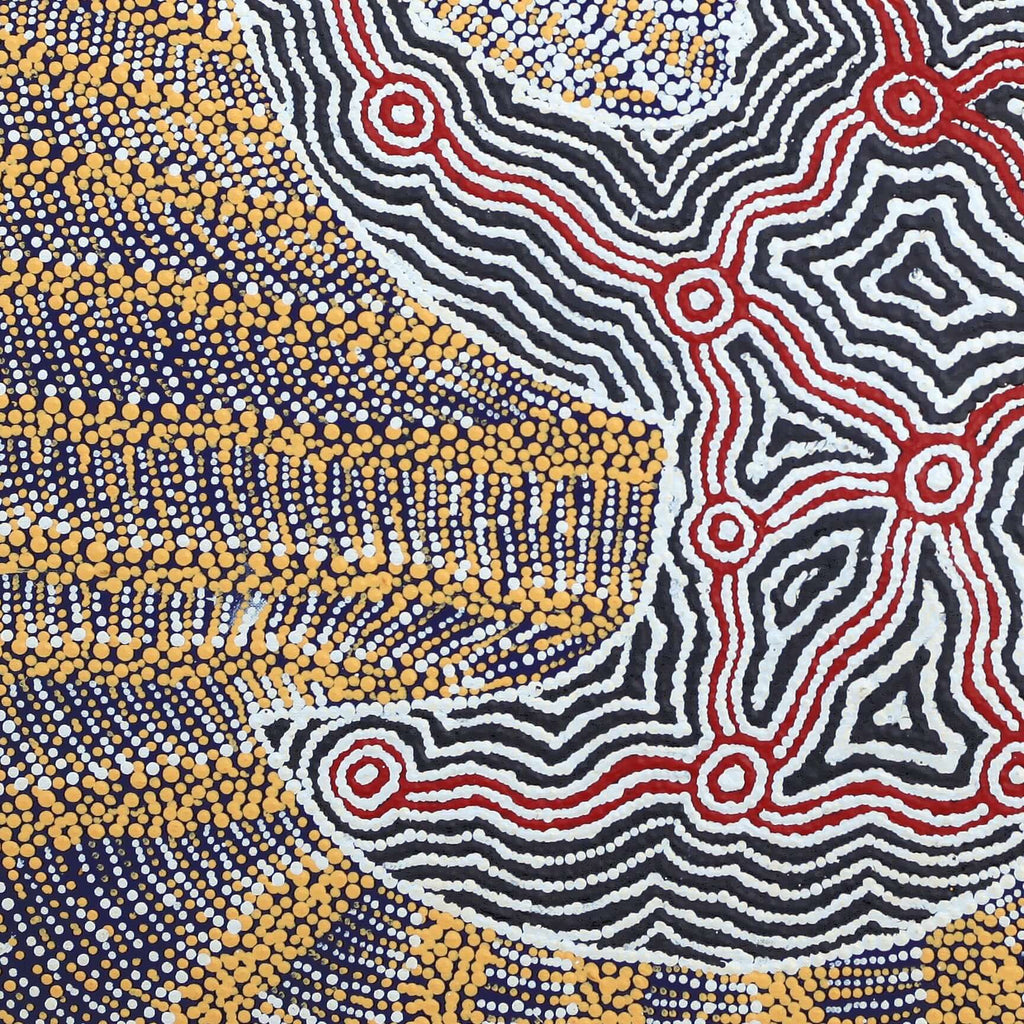Aboriginal Artwork by Agnes Nampijinpa Fry, Jurlpu kuja kalu nyinami Yurntumu-wana (Birds that live around Yuendumu), 61x61cm