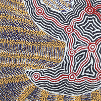 Aboriginal Artwork by Agnes Nampijinpa Fry, Jurlpu kuja kalu nyinami Yurntumu-wana (Birds that live around Yuendumu), 61x61cm