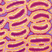 Aboriginal Artwork by Alice Nampijinpa Michaels, Lappi Lappi Jukurrpa, 30x30cm