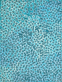 Aboriginal Artwork by Alana Nakamarra Gibson, Lukarrara Jukurrpa, 61x46cm