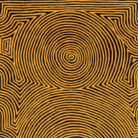 Aboriginal Artwork by Albury Jangala Dixon, Tingari Cycle, 183x91cm