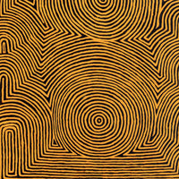 Aboriginal Artwork by Albury Jangala Dixon, Tingari Cycle, 183x91cm