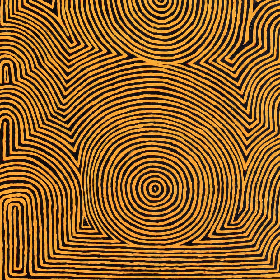 Aboriginal Artwork by Albury Jangala Dixon, Tingari Cycle, 183x91cm