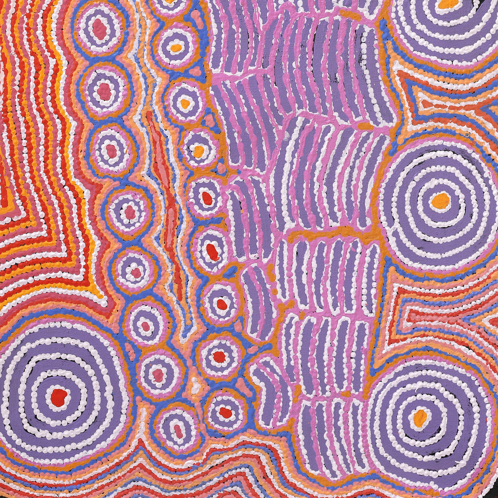 Aboriginal Artwork by Alice Nampijinpa Michaels, Lappi Lappi Jukurrpa, 122x61cm