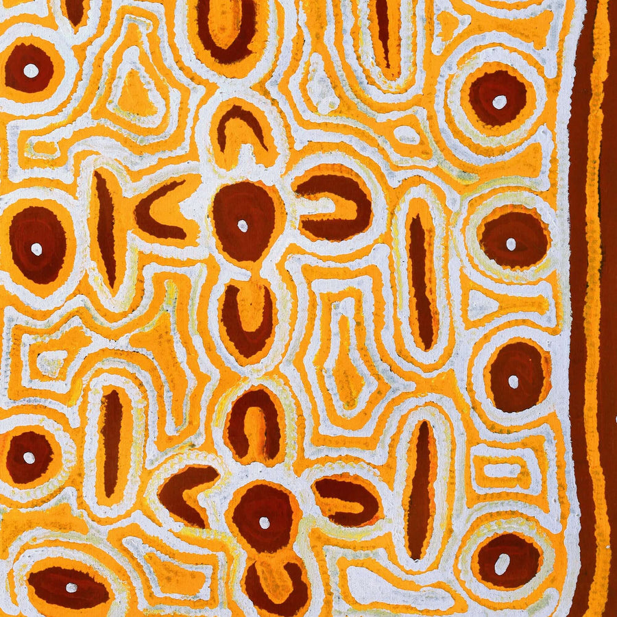 Aboriginal Artwork by Alice Nampitjinpa Dixon, Yamami - Kami, 137x76cm