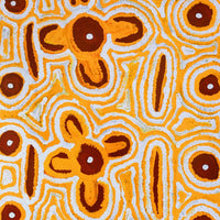 Aboriginal Artwork by Alice Nampitjinpa Dixon, Yamami - Kami, 137x76cm