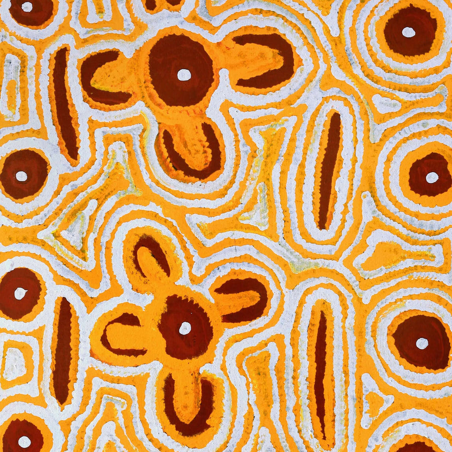 Aboriginal Artwork by Alice Nampitjinpa Dixon, Yamami - Kami, 137x76cm