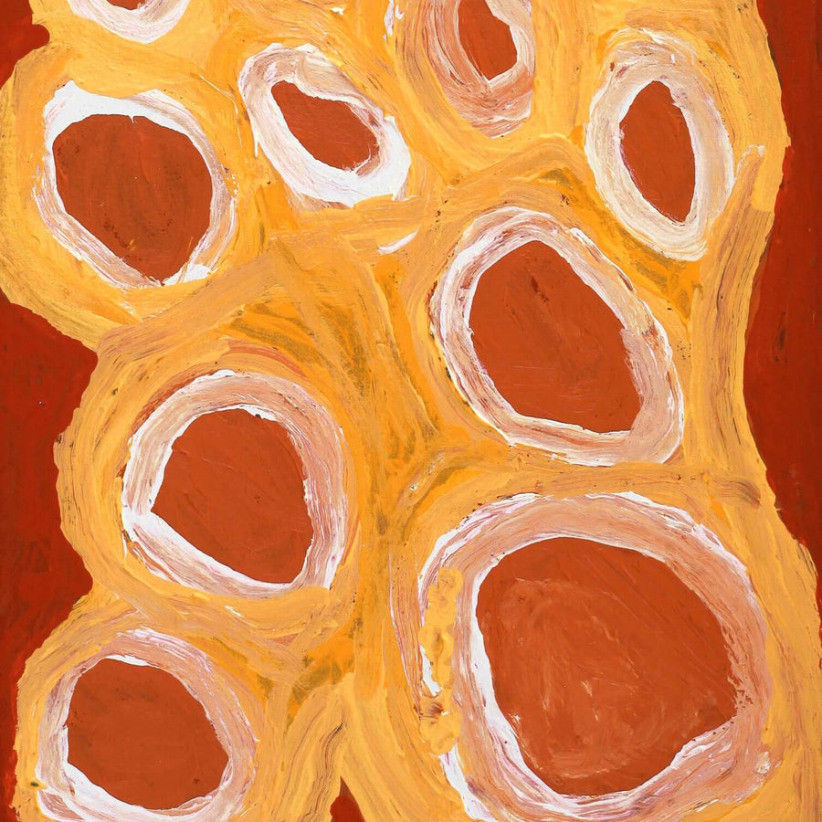 Aboriginal Artwork by Alice Nampitjinpa Dixon, Tjilkamala - Porcupine rockhole, 60x30cm