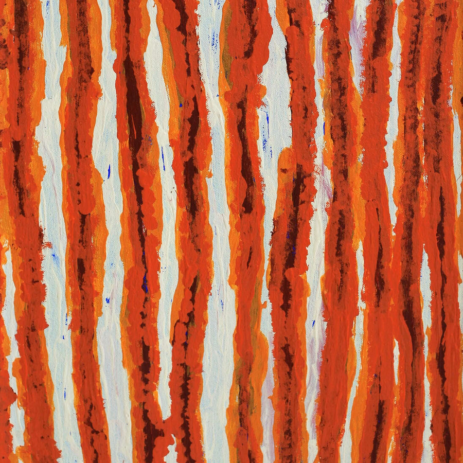 Aboriginal Artwork by Alice Nampitjinpa Dixon, Tali Tali - Sandhills, 60x30cm