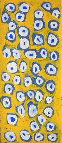 Aboriginal Artwork by Alice Nampitjinpa Dixon, Tjilkamala - Porcupine rockhole, 70x30cm