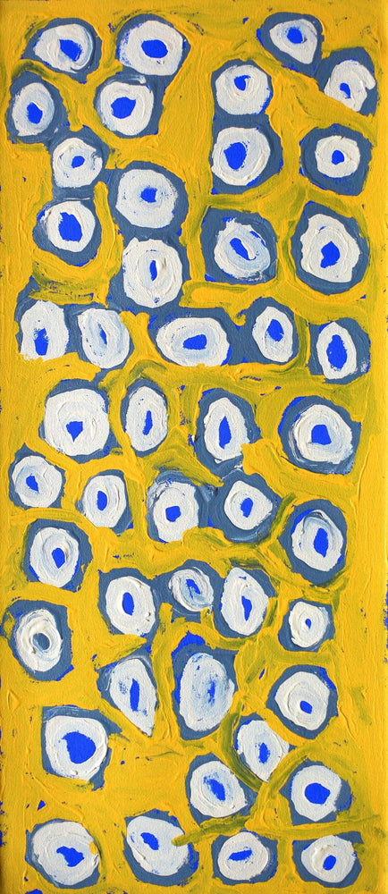Aboriginal Artwork by Alice Nampitjinpa Dixon, Tjilkamala - Porcupine rockhole, 70x30cm