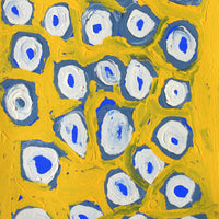 Aboriginal Artwork by Alice Nampitjinpa Dixon, Tjilkamala - Porcupine rockhole, 70x30cm