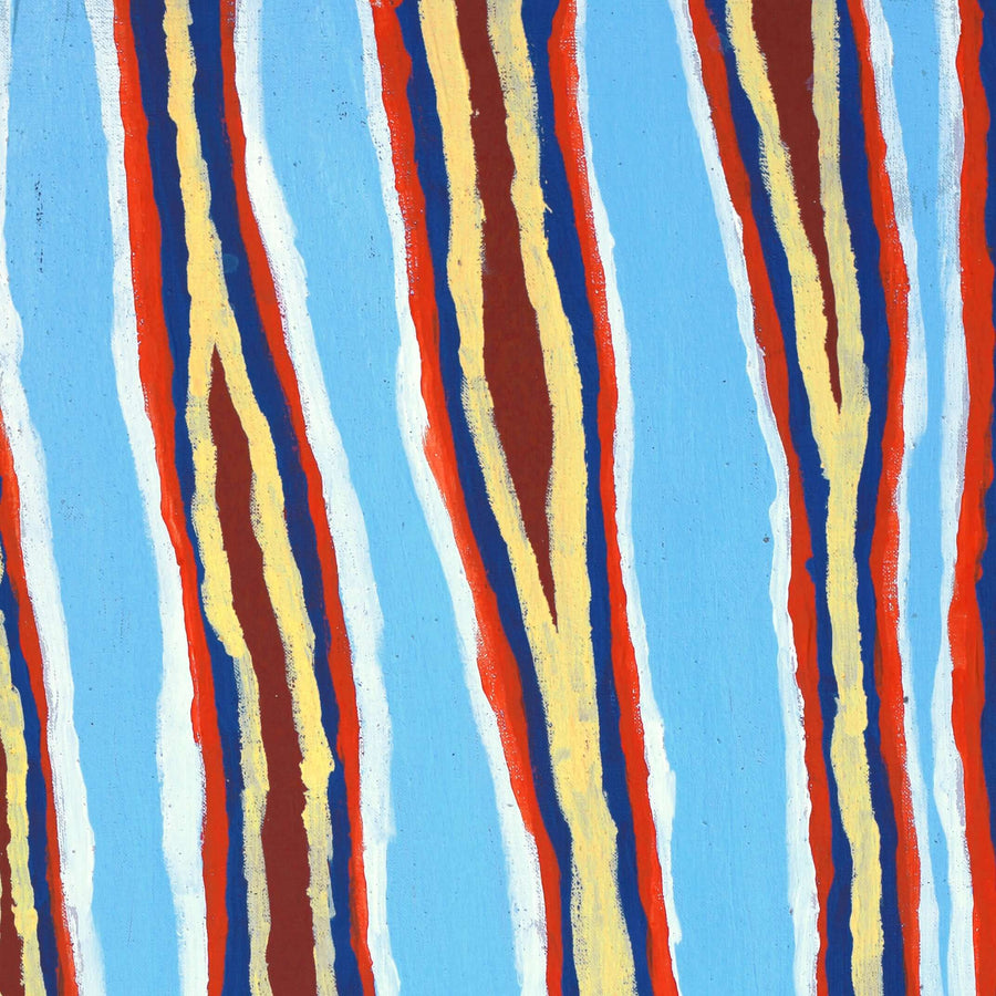 Aboriginal Artwork by Alice Nampitjinpa Dixon, Tali - Sandhills, 80x40cm