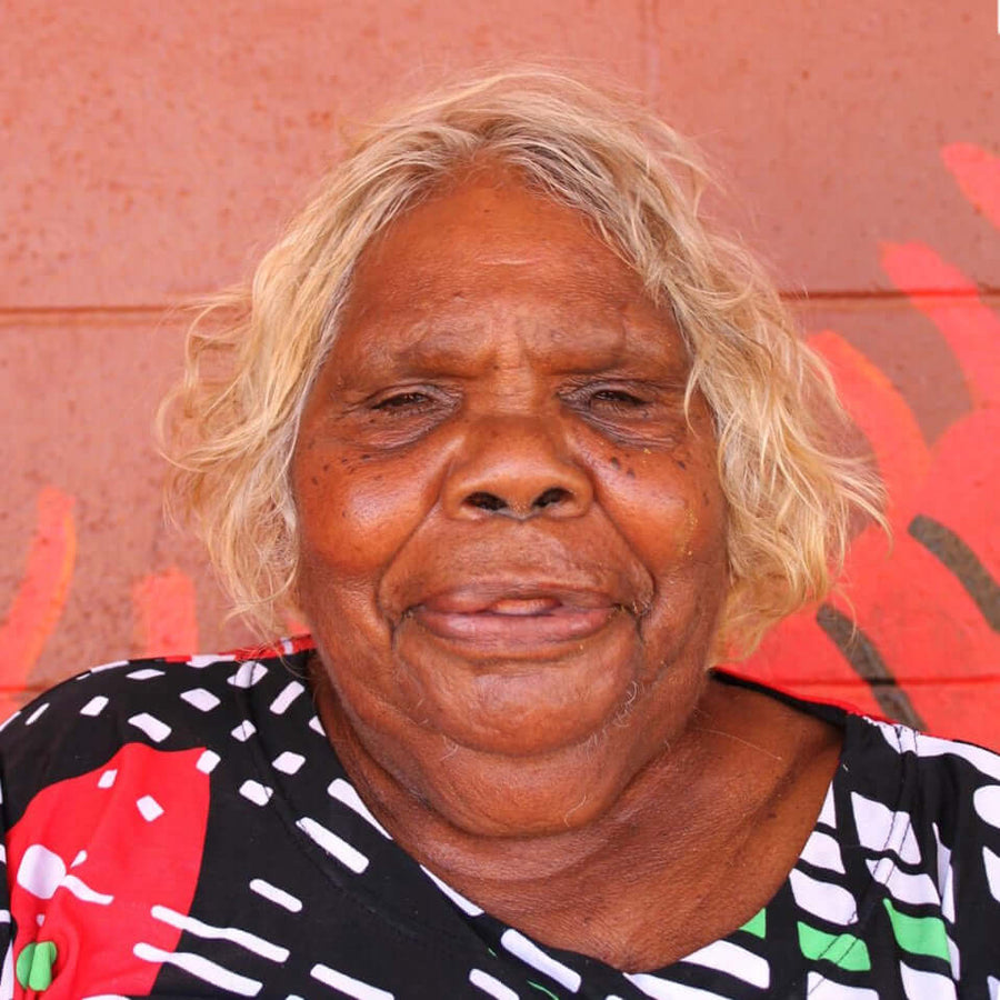 Aboriginal Artwork by Alice Nampitjinpa Dixon, Tali Tali - Sandhills, 100x40cm