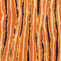 Aboriginal Artwork by Alice Nampitjinpa Dixon, Tali Tali - Sandhills, 91x55cm