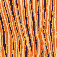 Aboriginal Artwork by Alice Nampitjinpa Dixon, Tali Tali - Sandhills, 91x55cm