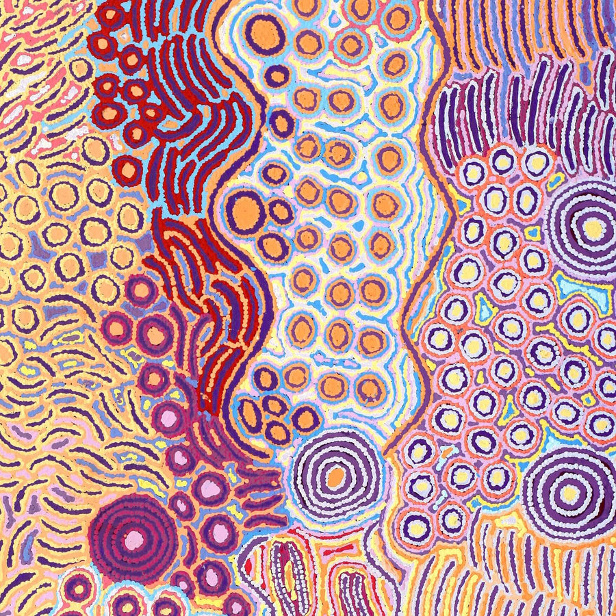 Aboriginal Artwork by Alice Nampijinpa Michaels, Lappi Lappi Jukurrpa, 152x91cm
