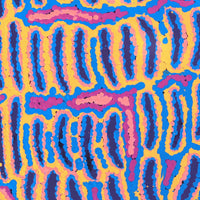 Aboriginal Artwork by Alice Nampijinpa Michaels, Lappi Lappi Jukurrpa, 30x30cm