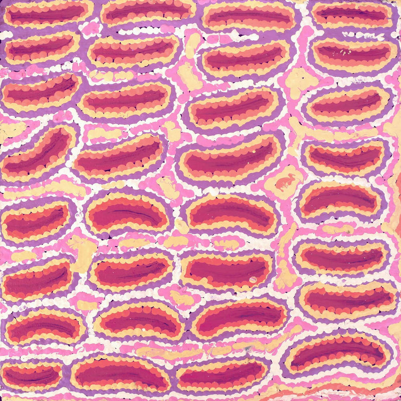 Aboriginal Artwork by Alice Nampijinpa Michaels, Lappi Lappi Jukurrpa, 30x30cm