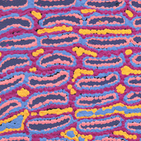 Aboriginal Artwork by Alice Nampijinpa Michaels, Lappi Lappi Jukurrpa, 30x30cm