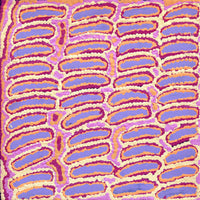 Aboriginal Artwork by Alice Nampijinpa Michaels, Lappi Lappi Jukurrpa, 30x30cm