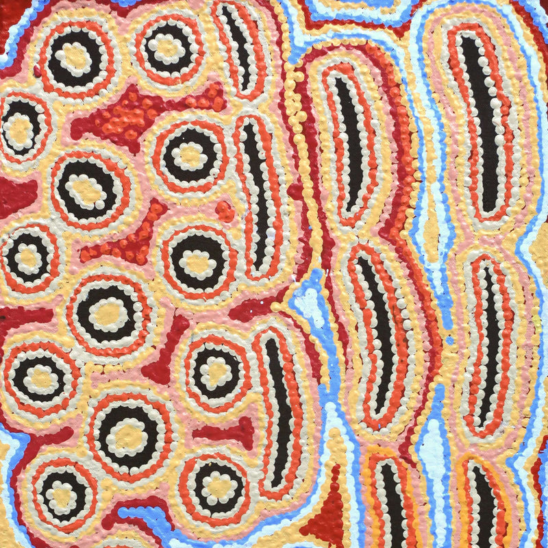 Aboriginal Artwork by Alice Nampijinpa Michaels, Lappi Lappi Jukurrpa, 61x30cm
