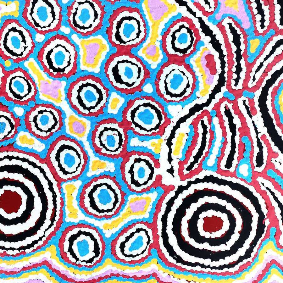 Aboriginal Artwork by Alice Nampijinpa Michaels, Lappi Lappi Jukurrpa, 61x46cm