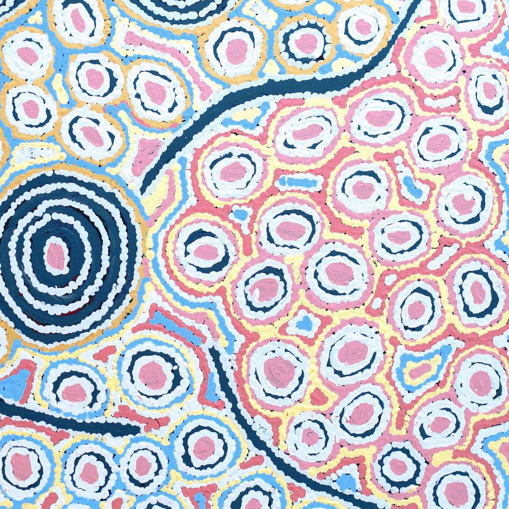 Aboriginal Artwork by Alice Nampijinpa Michaels, Lappi Lappi Jukurrpa, 61x46cm
