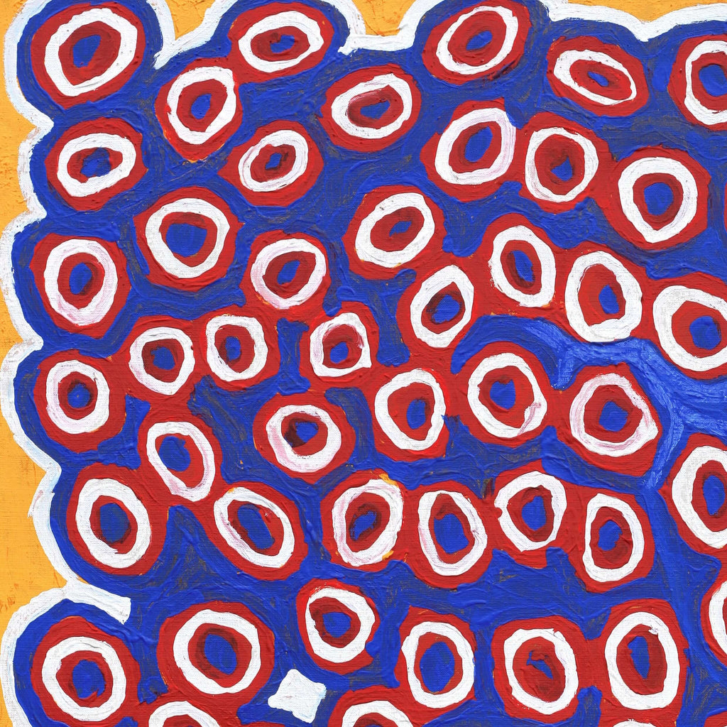 Aboriginal Art by Alice Nampitjinpa Dixon, Rockholes at Talaalpi, 80x60cm - ART ARK®