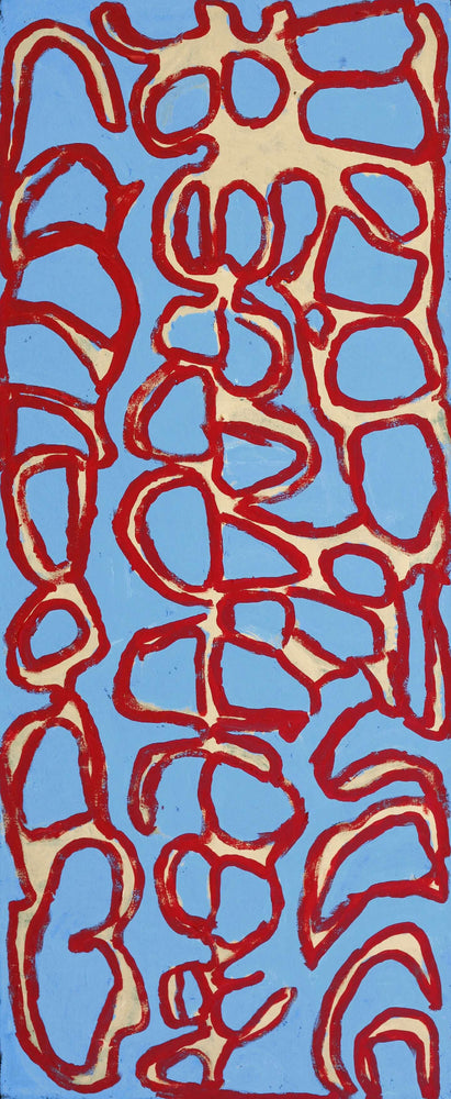 Aboriginal Artwork by Alice Nampitjinpa Dixon, Tjilkamala - Porcupine rockhole, 100x40cm