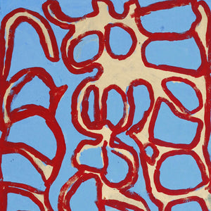 Aboriginal Art by Alice Nampitjinpa Dixon, Tjilkamala - Porcupine rockhole, 100x40cm - ART ARK®