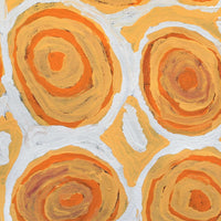 Aboriginal Artwork by Alice Nampitjinpa Dixon, Tjilkamala - Porcupine rockhole, 40x40cm