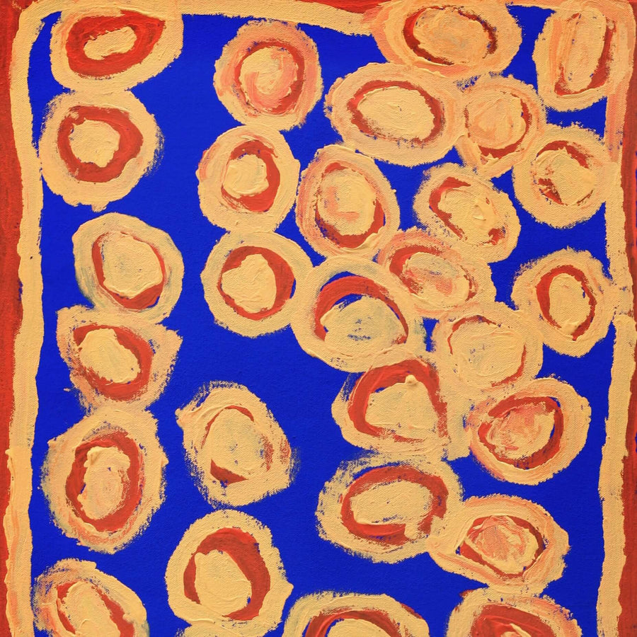 Aboriginal Artwork by Alice Nampitjinpa Dixon, Takupalangu, 80x40cm