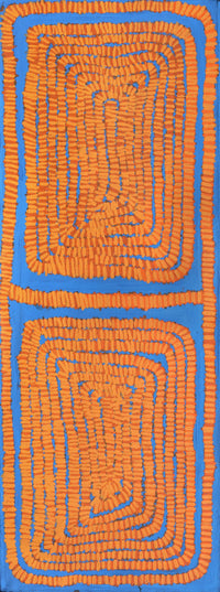 Aboriginal Artwork by Alice Nampitjinpa Dixon, Soakage in Talaalpi, 165x60cm