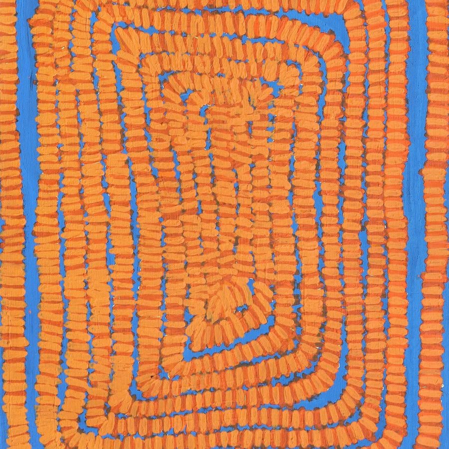 Aboriginal Artwork by Alice Nampitjinpa Dixon, Soakage in Talaalpi, 165x60cm