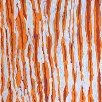 Aboriginal Artwork by Alice Nampitjinpa Dixon, Tali Tali - Sandhills, 80x40cm