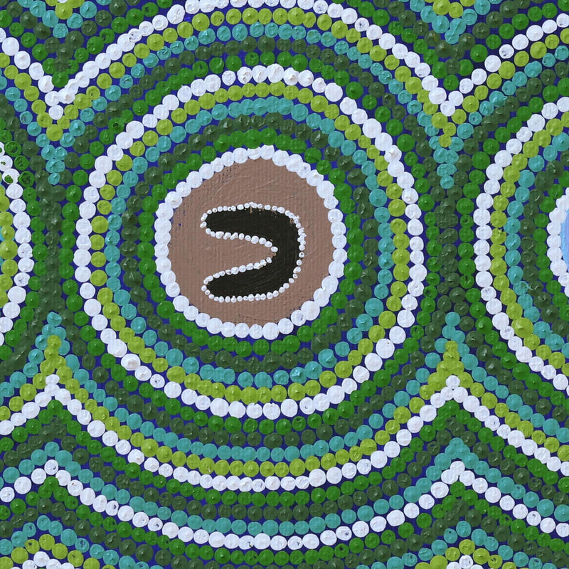 Aboriginal Artwork by Allison Napurrurla Gill, Ngapa Jukurrpa (Water Dreaming) - Puyurru, 30x30cm