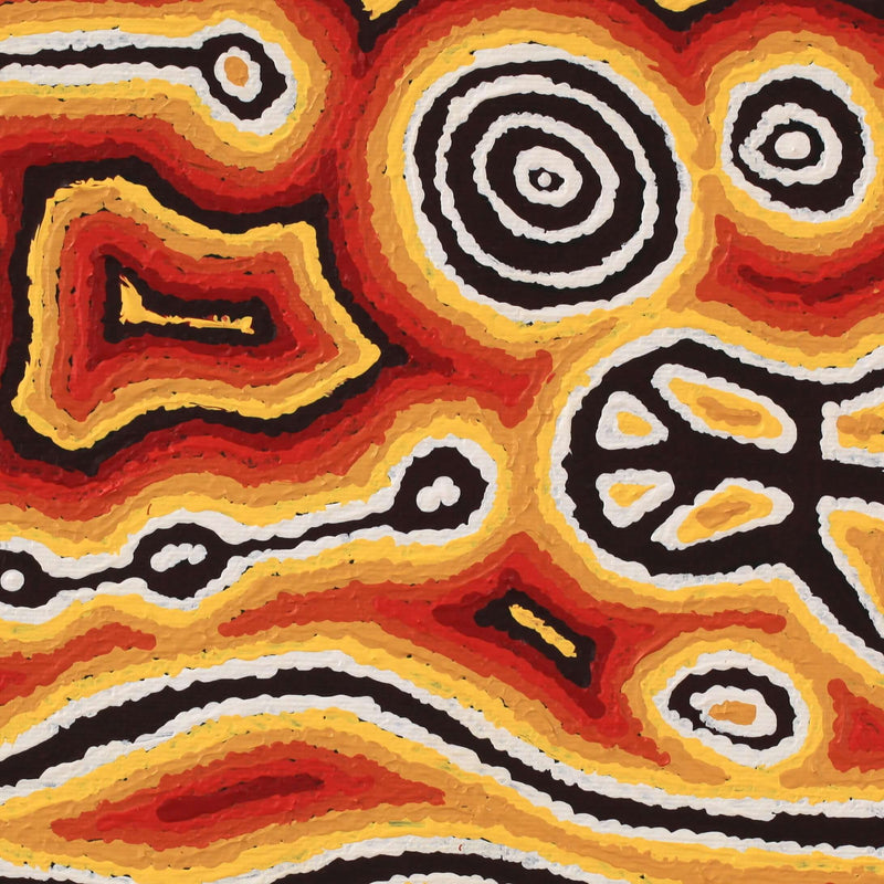 Aboriginal Artwork by Amanda Nakamarra Curtis, Lappi Lappi Dreaming, 30x30cm
