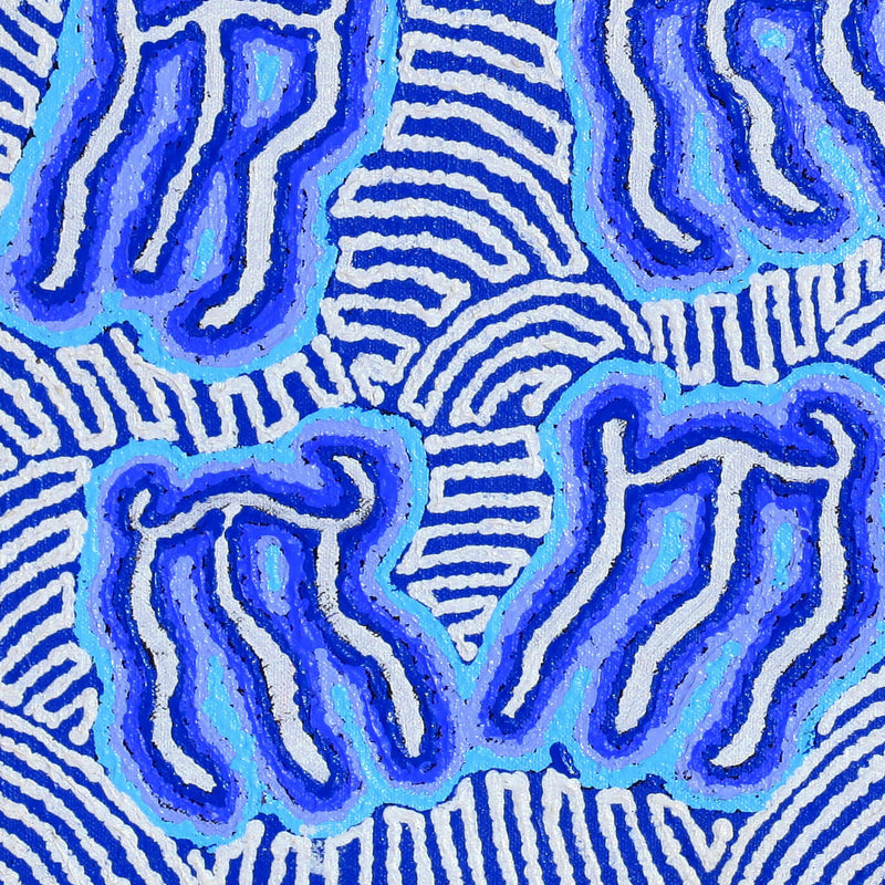 Aboriginal Artwork by Amanda Nakamarra Curtis, Majardi Jukurrpa - Mina Mina, 46x46cm