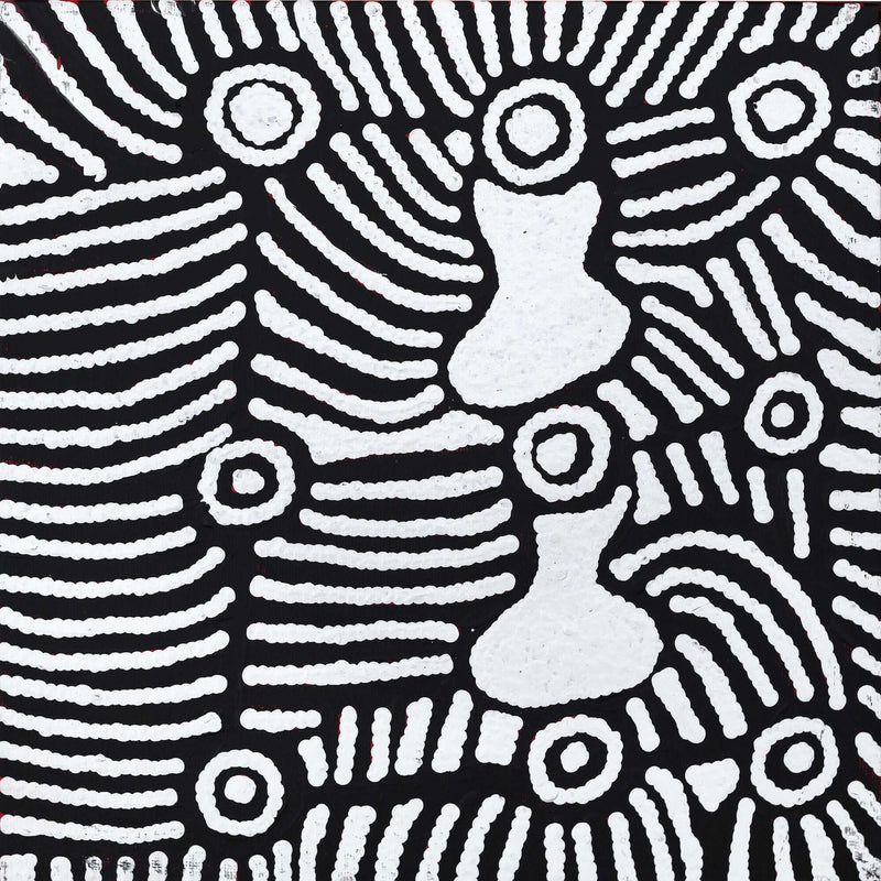 Aboriginal Artwork by Amelia Napaljarri Brown, Pikilyi Jukurrpa (Vaughn Springs Dreaming), 30x30cm