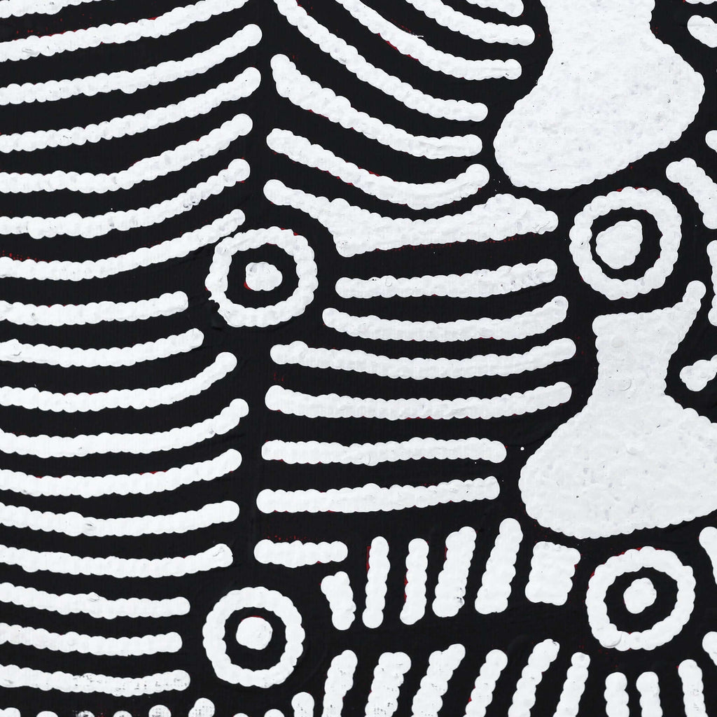 Aboriginal Artwork by Amelia Napaljarri Brown, Pikilyi Jukurrpa (Vaughn Springs Dreaming), 30x30cm