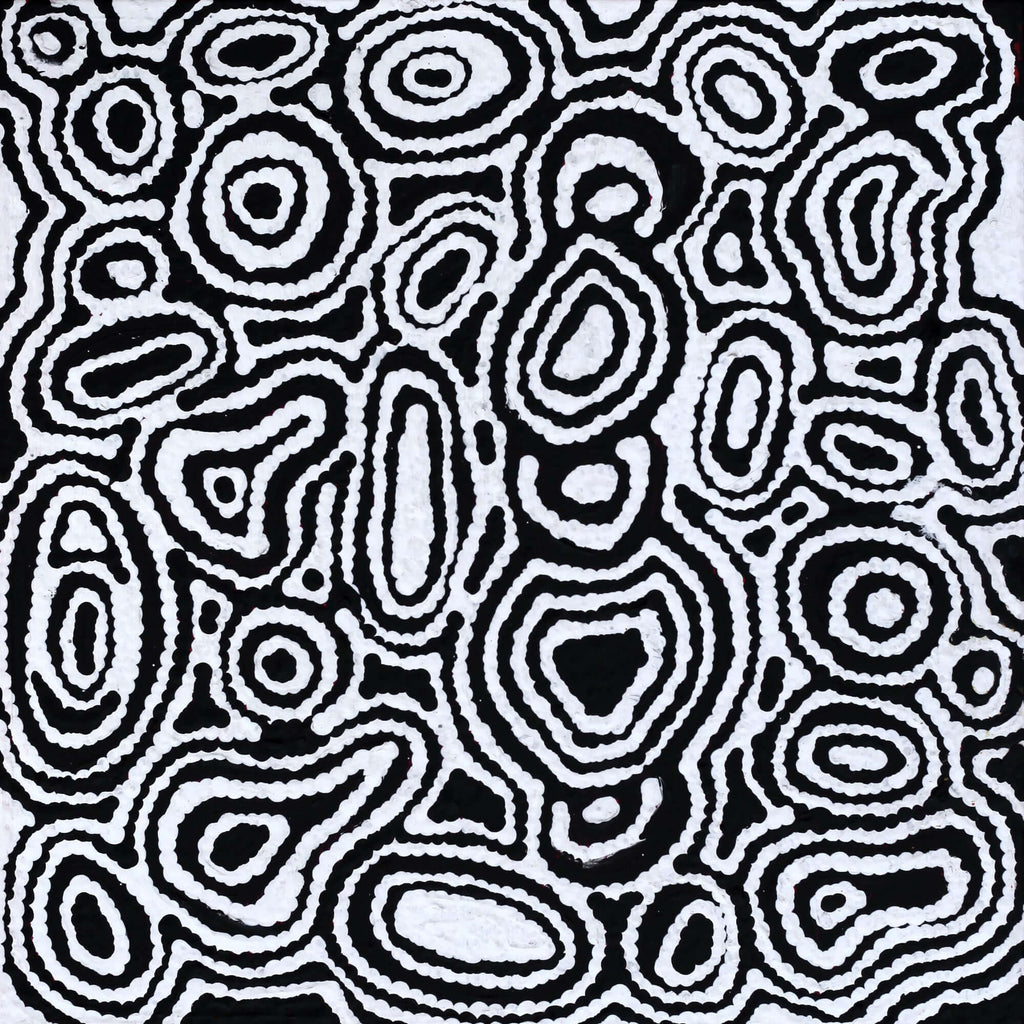 Aboriginal Artwork by Amelia Napaljarri Brown, Pikilyi Jukurrpa (Dreaming), 30x30cm