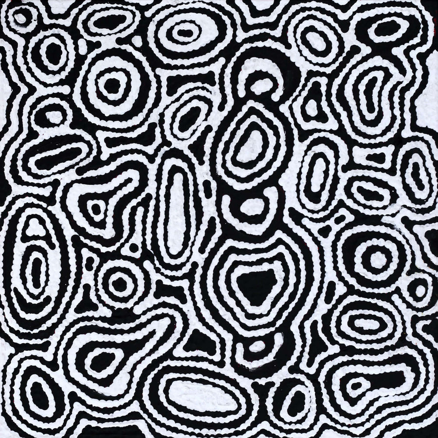 Aboriginal Artwork by Amelia Napaljarri Brown, Pikilyi Jukurrpa (Dreaming), 30x30cm