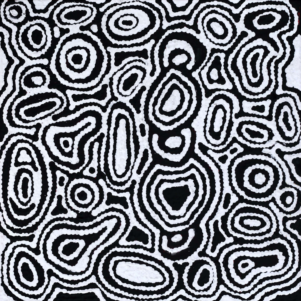 Aboriginal Art by Amelia Napaljarri Brown, Pikilyi Jukurrpa (Dreaming), 30x30cm - ART ARK®