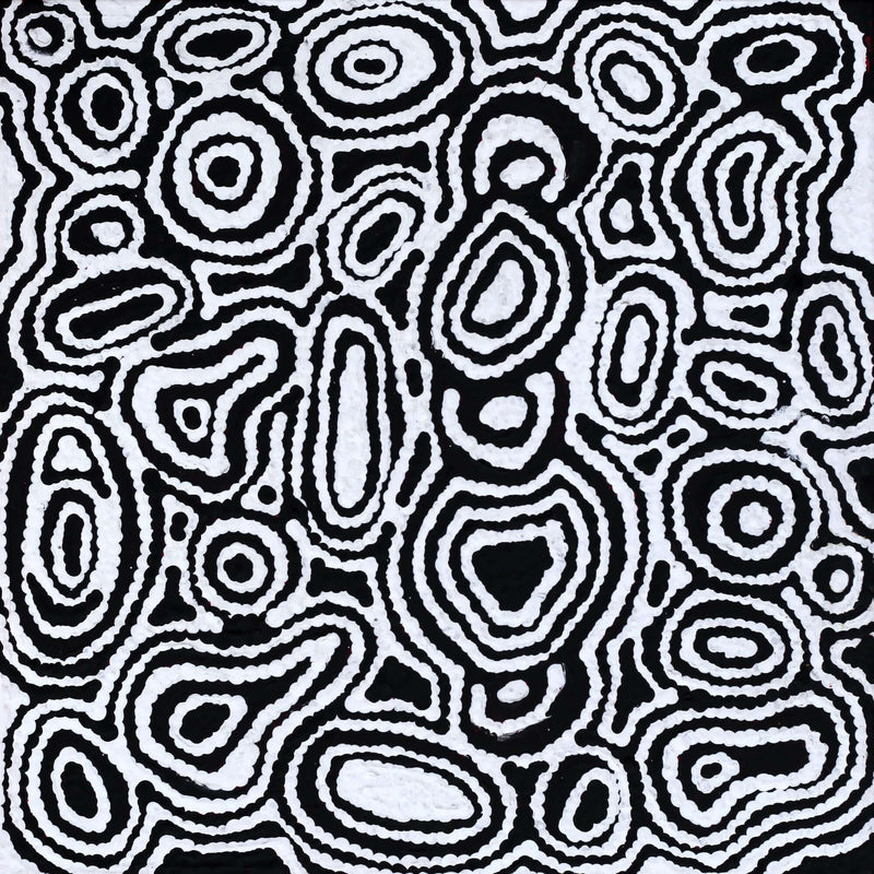 Aboriginal Artwork by Amelia Napaljarri Brown, Pikilyi Jukurrpa (Dreaming), 30x30cm